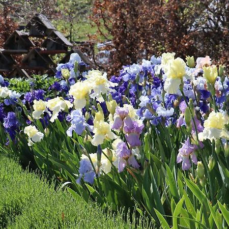 Hurunui Homestead Bed And Breakfast Hawarden Exterior foto